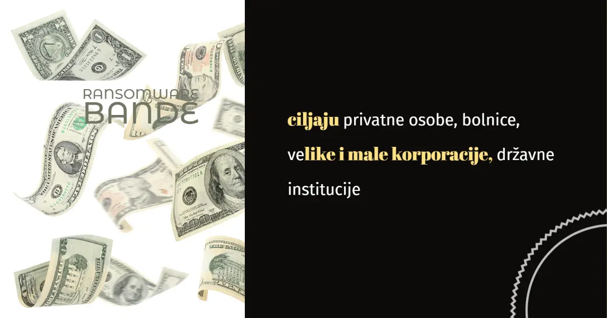 novac.webp